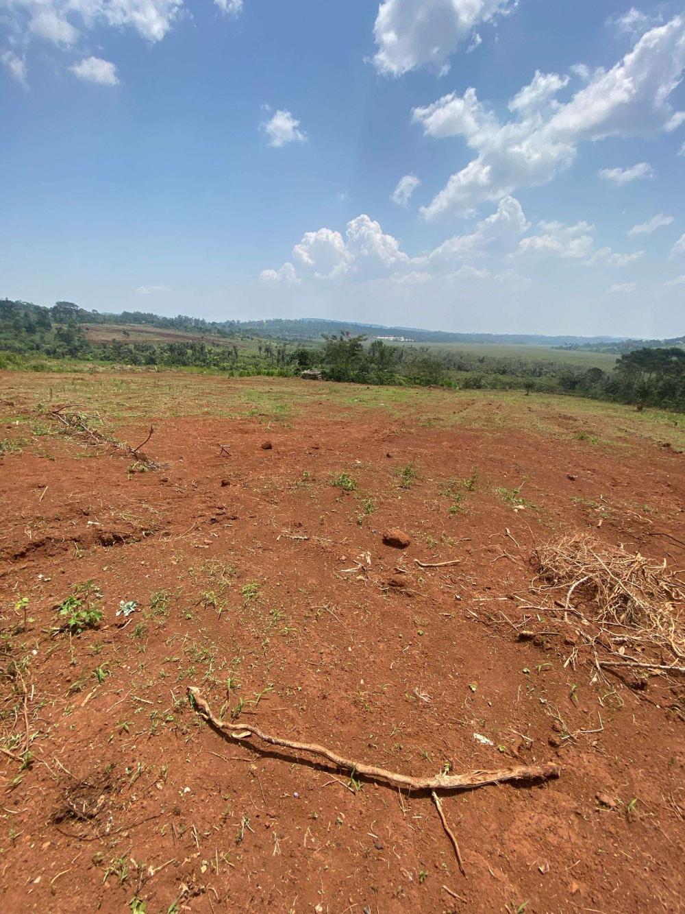 Plots For Sale in Nkokonjeru - Mukono (Private Title) - Image 1