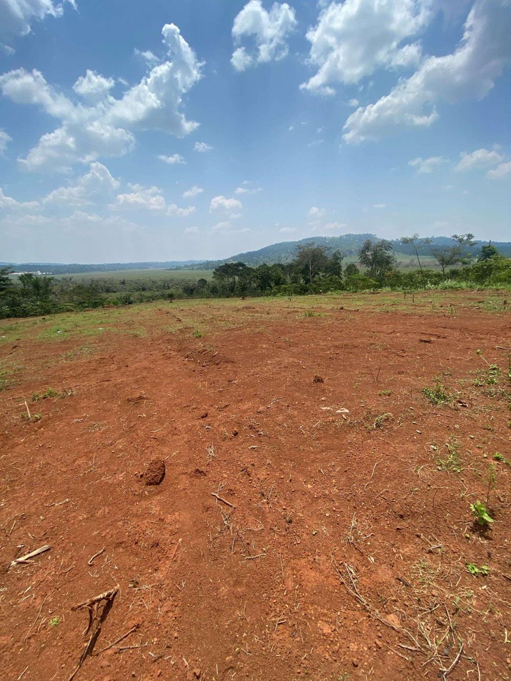 Plots For Sale in Nkokonjeru - Mukono (Private Title) - Image 3
