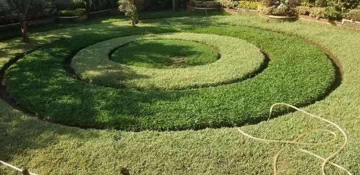 Compound Designing and Landscaping - Image 1
