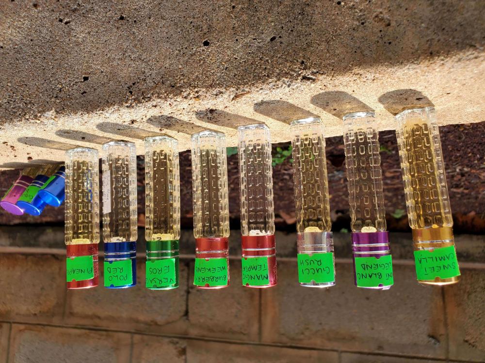 Sera Scents - Image 3
