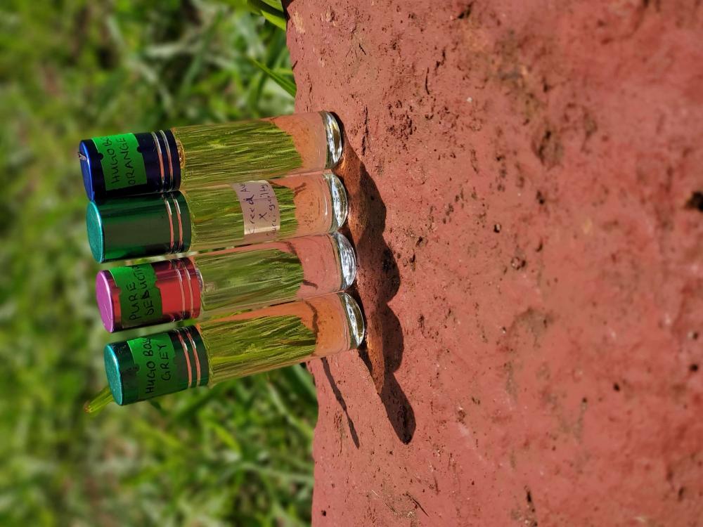 Sera Scents - Image 5
