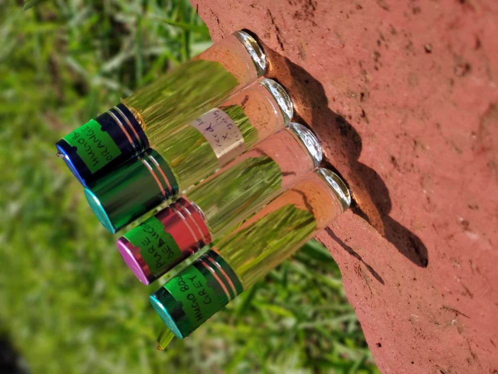 Sera Scents - Image 6