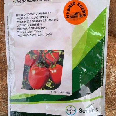 Hybrid Tomato Seeds